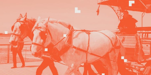 featured image thumbnail for post Where is the value in analysing data?