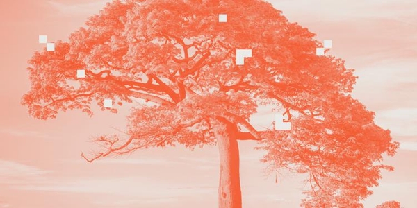 featured image thumbnail for post A visual introduction to machine learning