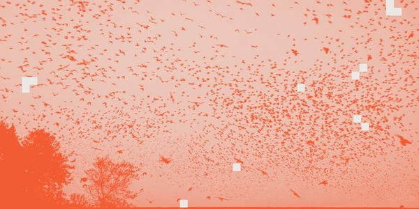 featured image thumbnail for post Supervised clustering for better cluster analysis