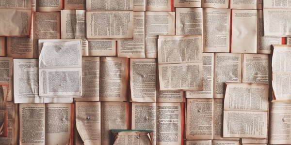featured image thumbnail for post Learning like people