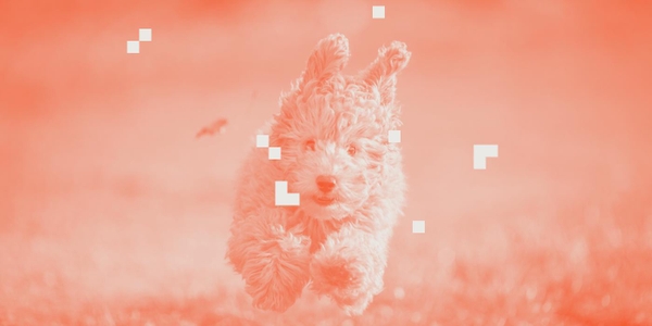 featured image thumbnail for post Playing with DALLE 2